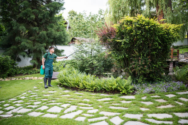 Best Affordable Pest Control Services  in North Liberty, IN