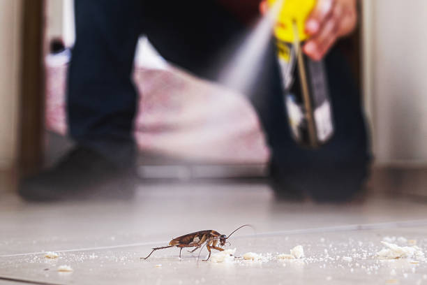 Best Wasp Removal Services  in North Liberty, IN