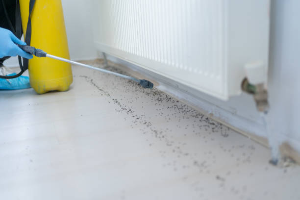 Professional Pest Control in North Liberty, IN