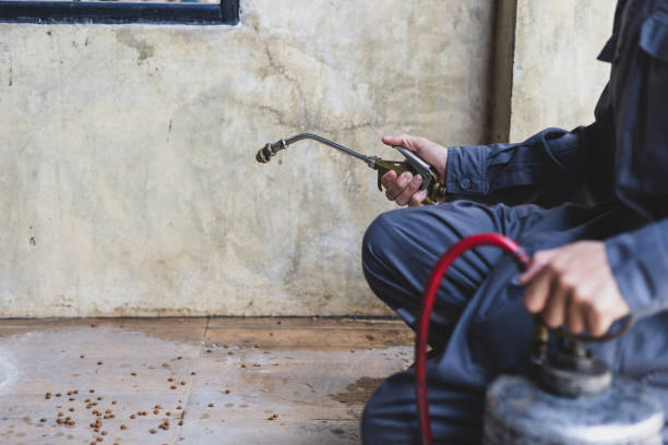 Best Best Pest Control Companies  in North Liberty, IN
